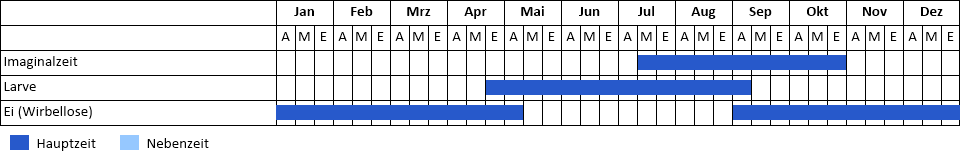 Gottesanbeterin Phänogramm