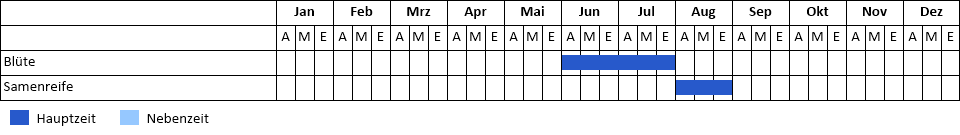 Roggen-Trespe Phänogramm