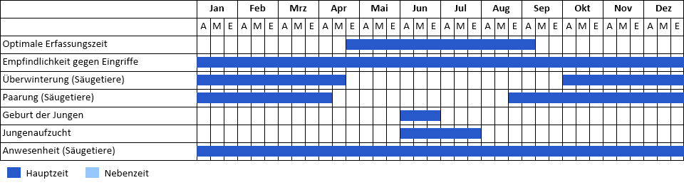Große Bartfledermaus Phänogramm