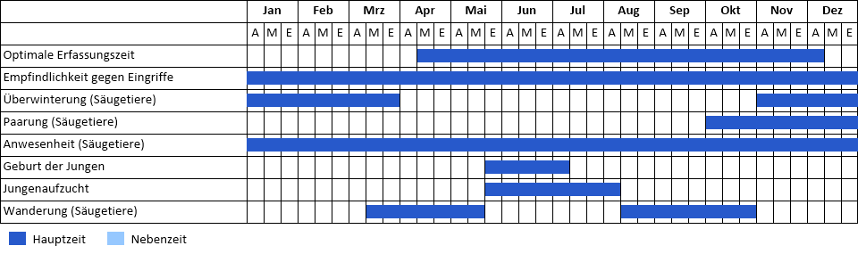 Zweifarbfledermaus Phänogramm