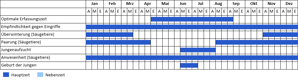 Braunes Langohr Phänogramm