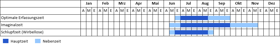 Kleine Binsenjungfer Phänogramm