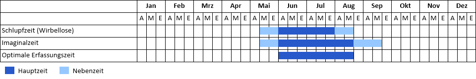 Kleine Zangenlibelle Phänogramm