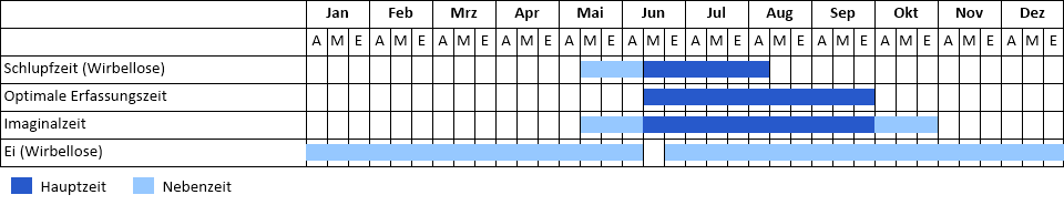 Torf-Mosaikjungfer Phänogramm