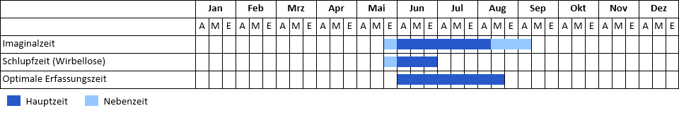 Kleine Königslibelle Phänogramm