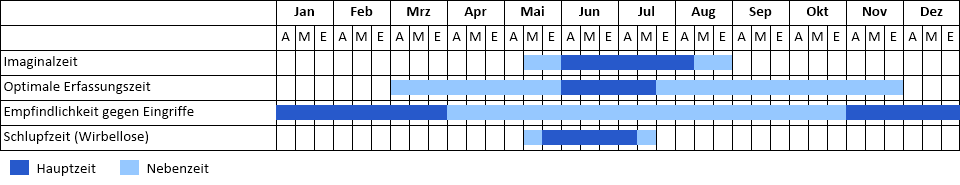 Zweigestreifte Quelljungfer Phänogramm