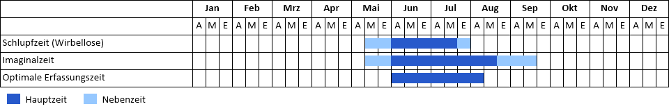 Alpen-Smaragdlibelle Phänogramm