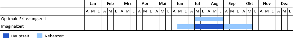 Blauflügelige Ödlandschrecke Phänogramm
