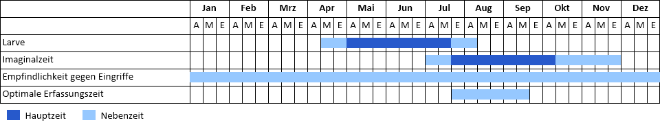 Zweifarbige Beißschrecke Phänogramm