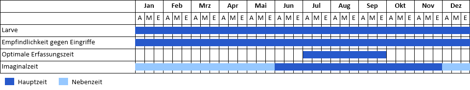 Waldgrille Phänogramm