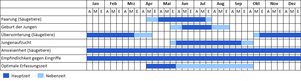 Gartenschläfer Phänogramm