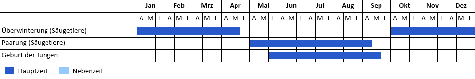 Haselmaus Phänogramm