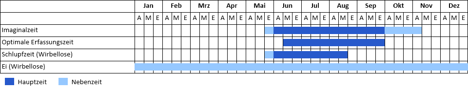 Gefleckte Heidelibelle Phänogramm