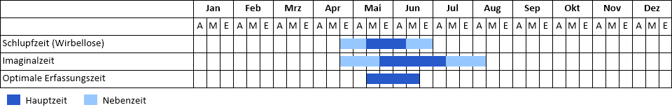 Große Moosjungfer Phänogramm