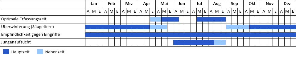 Feldhamster Phänogramm