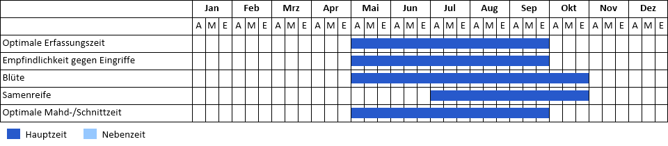 Gewöhnliches Hundszahngras Phänogramm