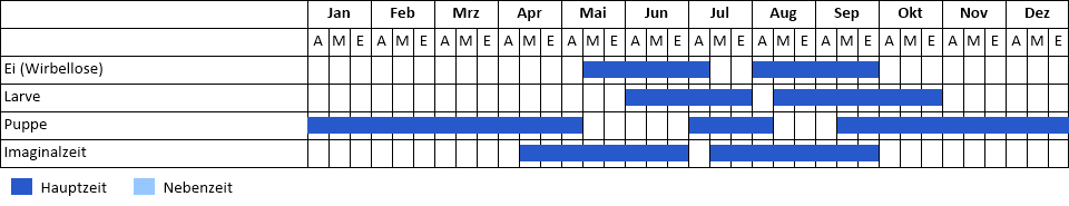 Schwalbenschwanz Phänogramm