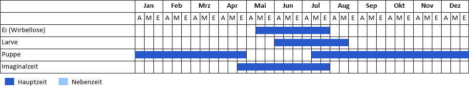 Segelfalter Phänogramm