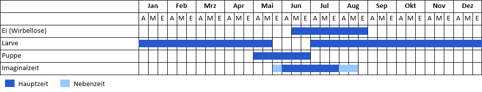 Lilagold-Feuerfalter Phänogramm