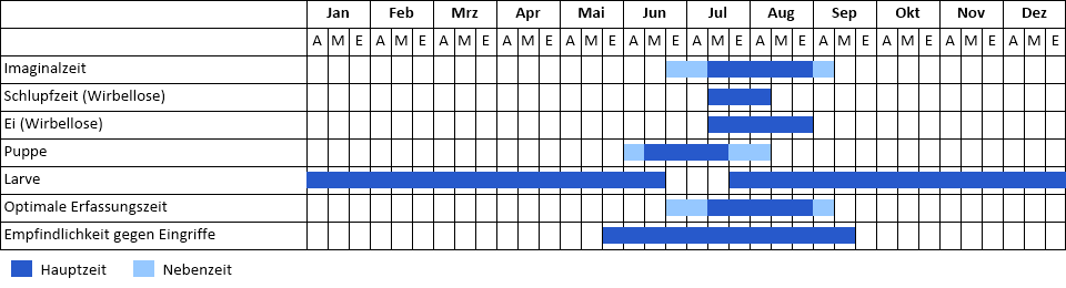 Dunkler Wiesenknopf-Ameisenbläuling Phänogramm
