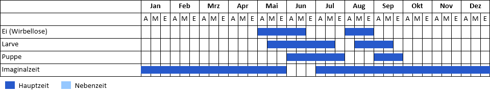Tagpfauenauge Phänogramm