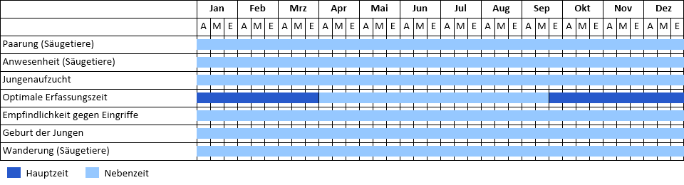 Fischotter Phänogramm