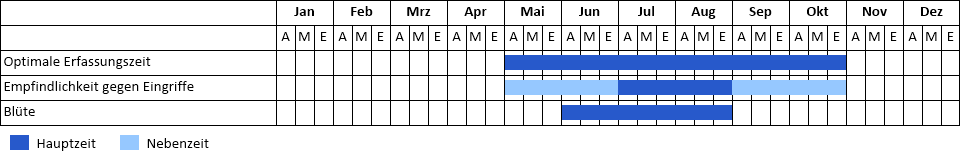Kanadische Wasserpest Phänogramm