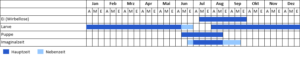 Kleines Ochsenauge Phänogramm