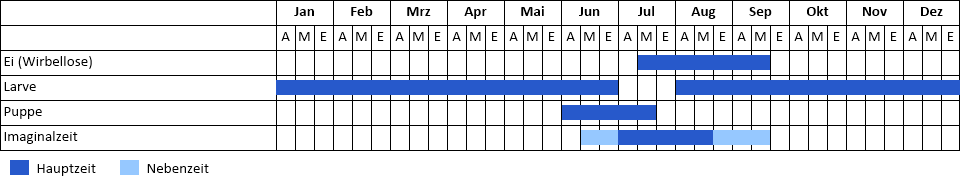 Kleiner Waldportier Phänogramm