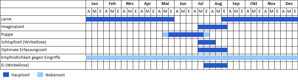 Spanische Flagge Phänogramm
