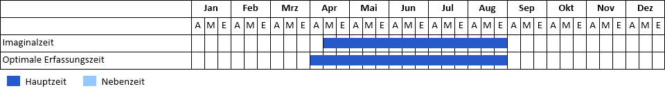Rosskastanien-Miniermotte Phänogramm
