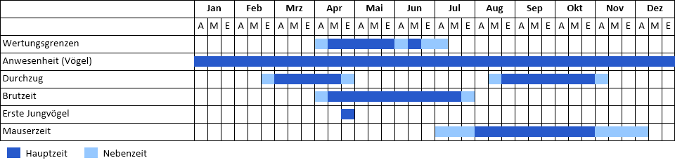 Zwergtaucher Phänogramm