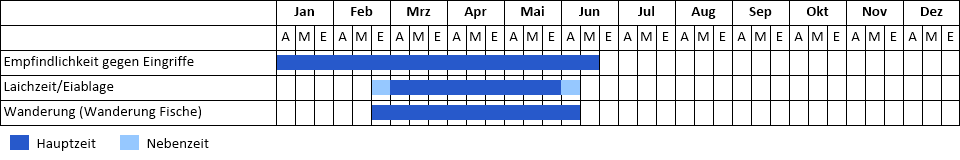 Äsche Phänogramm