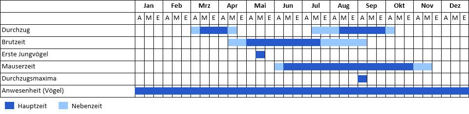 Schwarzhalstaucher Phänogramm