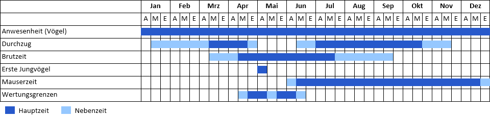 Kormoran Phänogramm