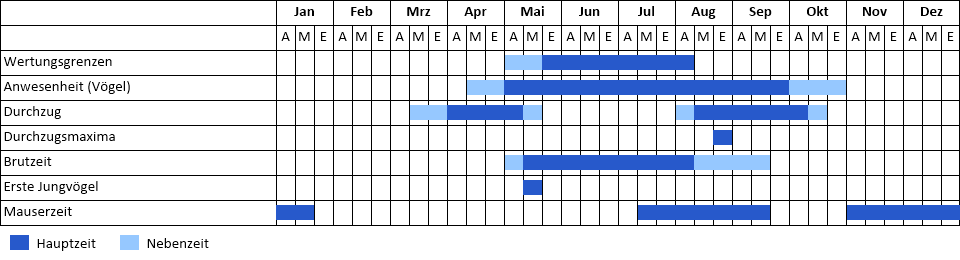 Zwergdommel Phänogramm