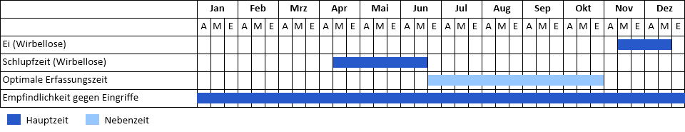 Edelkrebs Phänogramm