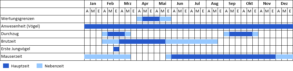 Graureiher Phänogramm