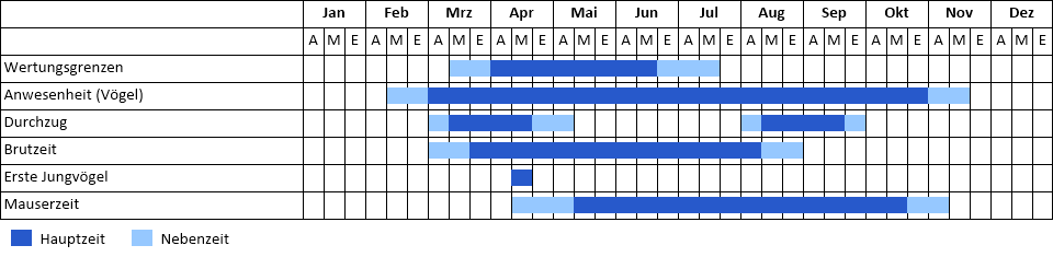 Weißstorch Phänogramm