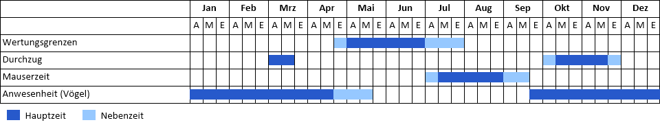 Blässgans Phänogramm