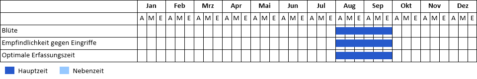 Liegendes Büchsenkraut Phänogramm