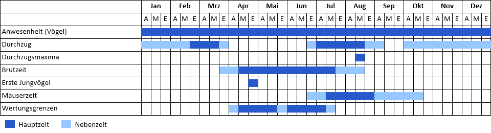 Brandgans Phänogramm