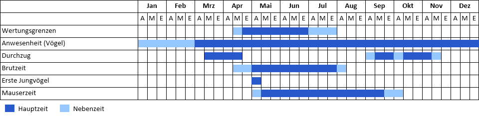 Schnatterente Phänogramm