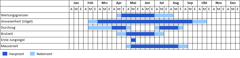 Knäkente Phänogramm