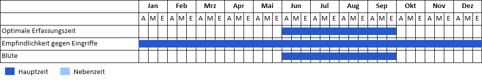 Verschiedenblättriges Tausendblatt Phänogramm