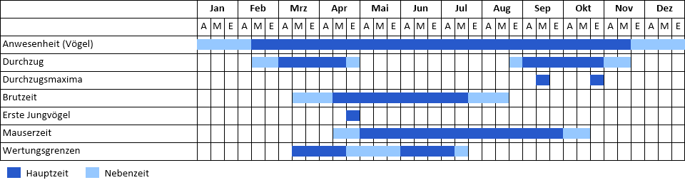 Rotmilan Phänogramm