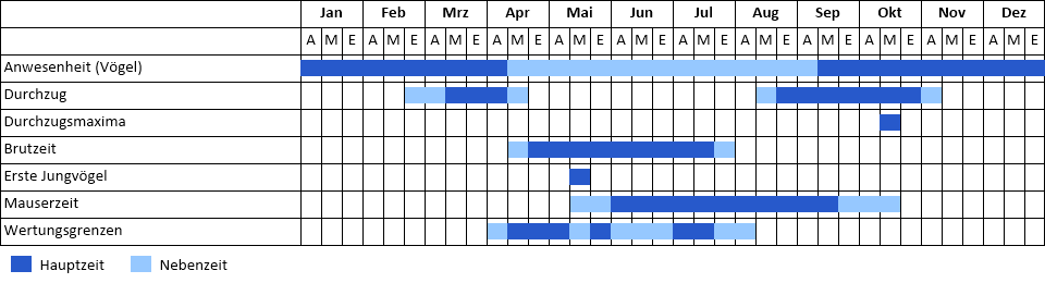 Kornweihe Phänogramm
