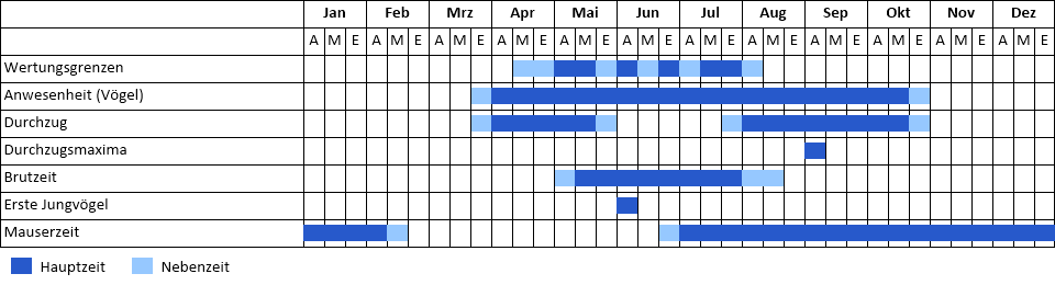 Wiesenweihe Phänogramm