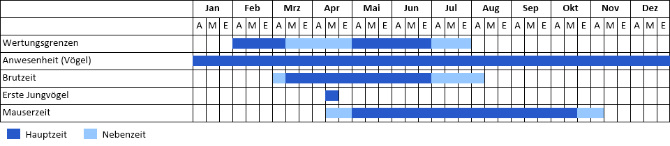 Wanderfalke Phänogramm