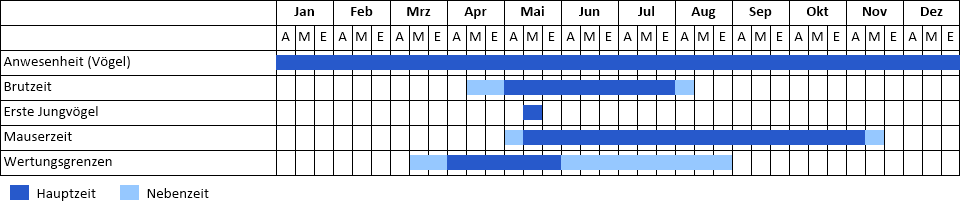 Auerhuhn Phänogramm